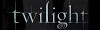 Fanfic in Twilight