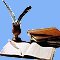 Fanfic in Bombadil's Corner
