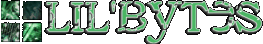 Lil'Bytes